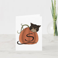 Katze in einem Kürbis