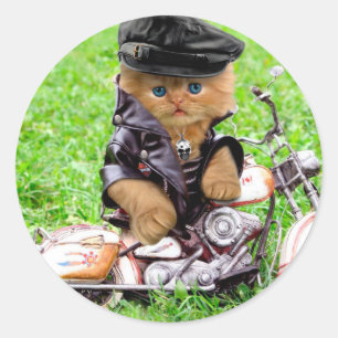 Katze in einem Motorrad Runder Aufkleber