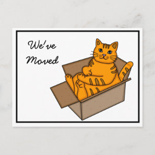 Katze in einer Box "Wir ziehen um" Neue Adresse Ankündigungspostkarte