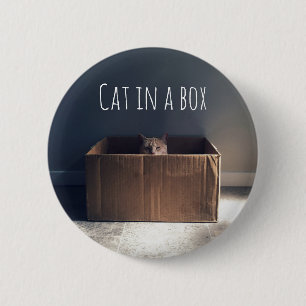Katze in einer Schachtel. Der Zen-Katzenmeister. Button