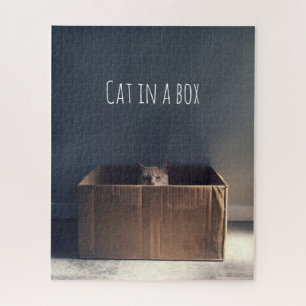 Katze in einer Schachtel. Der Zen-Katzenmeister. Puzzle