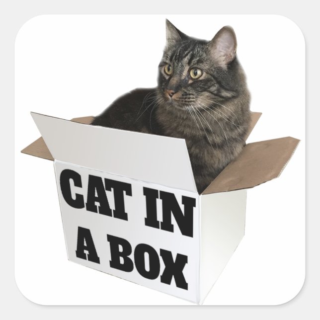 Katze in einer Schachtel! Quadratischer Aufkleber (Vorderseite)