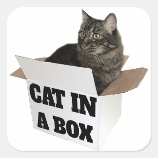 Katze in einer Schachtel! Quadratischer Aufkleber