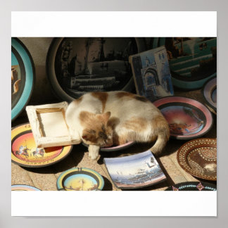 Katze in einer Stunde....Bowl Poster