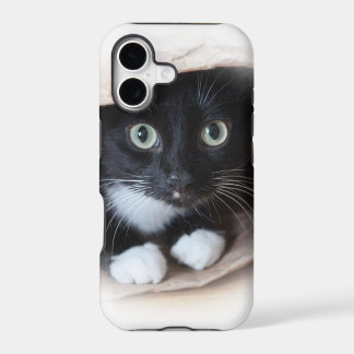 Katze in einer Tasche