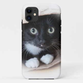 Katze in einer Tasche iPhone 11 Hülle