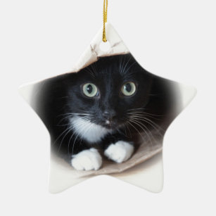 Katze in einer Tasche Keramikornament