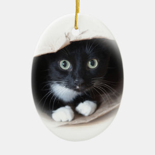 Katze in einer Tasche Keramikornament