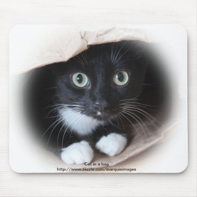 Katze in einer Tasche Mousepad (Vorne)