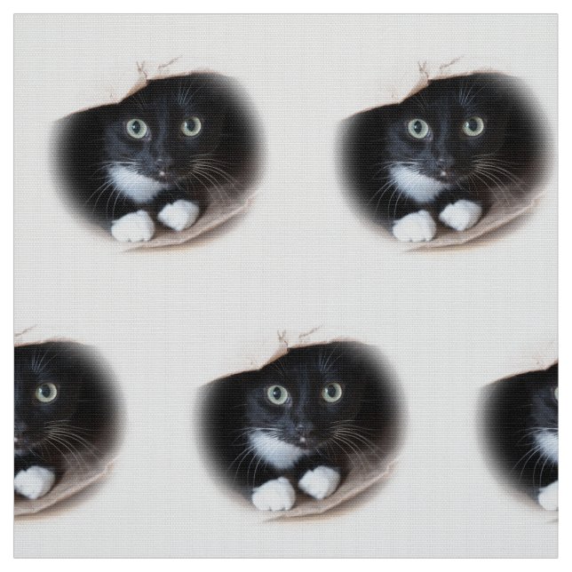 Katze in einer Tasche Stoff (Muster)