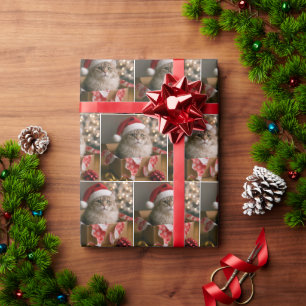 Katze in einer Weihnachtsgeschenkbox Geschenkpapier