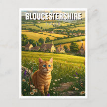 Katze in Gloucestershire England Travel