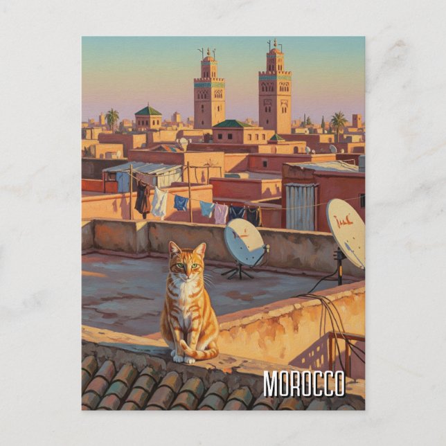 Katze in Marrakesch Marokko Reisen Postkarte (Vorderseite)