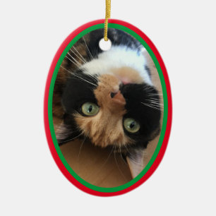 Katze In Memoriam Weihnachtsfeiertag Rot Grün Keramik Ornament