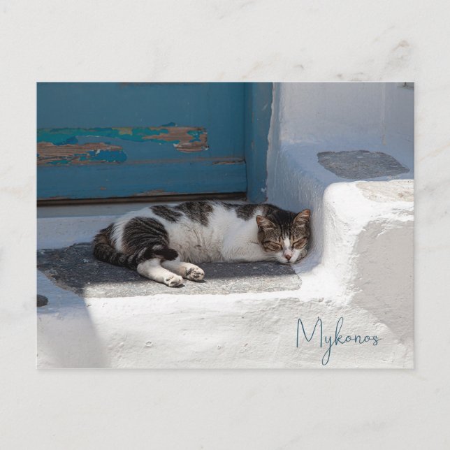 Katze in Mykonos Postkarte (Vorderseite)