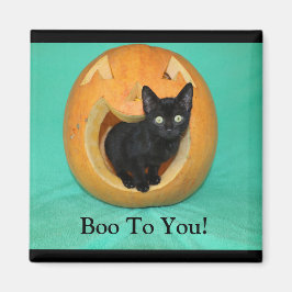 Katze in Pumpkin 2 Zoll Square Magnet