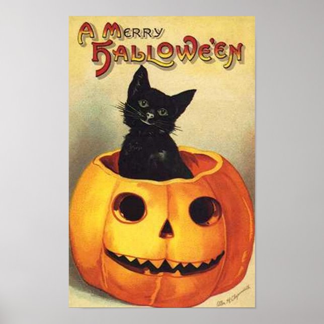 Katze in Pumpkin Poster (Vorne)