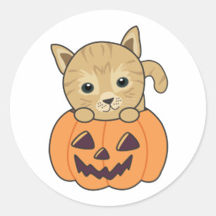 Katze in Pumpkin Sweet Cats Happy Halloween Classi Runder Aufkleber