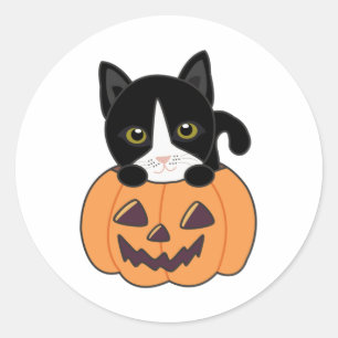 Katze in Pumpkin Sweet Cats Happy Halloween Classi Runder Aufkleber