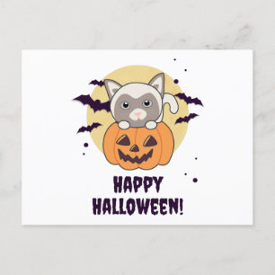 Katze in Pumpkin Sweet Cats Happy Halloween Postkarte