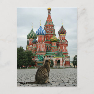Katze in Russland Moskau Reisen Postkarte