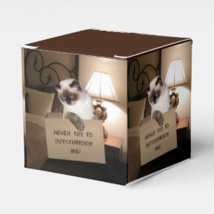 Katze in Schachtel Geschenkschachtel