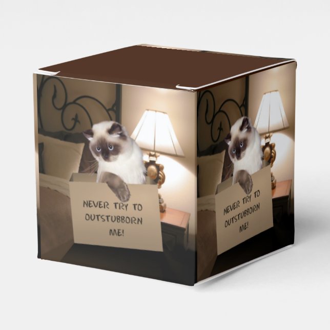 Katze in Schachtel Geschenkschachtel (Vorderseite)