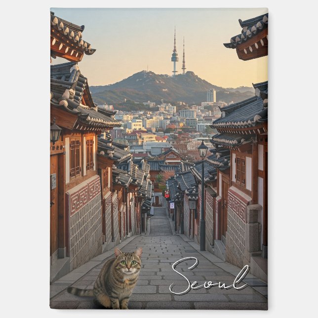Katze in Seoul Bukchon Südkorea Magnet (Vorderseite)
