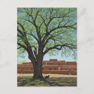 Katze in Taos Pueblo New Mexico Postkarte