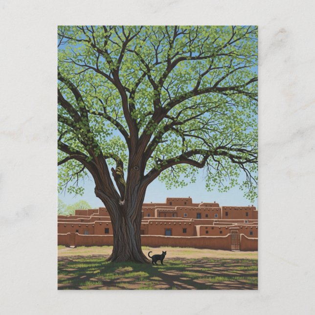 Katze in Taos Pueblo New Mexico Postkarte (Vorderseite)