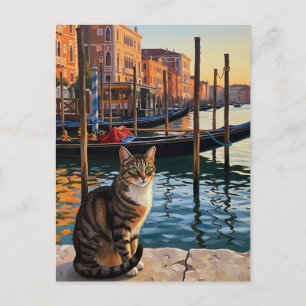 Katze in Venedig Italien Reisen Postkarte