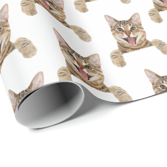 Katze in weiß geschenkpapier (Rolleneckpunkt)