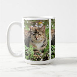 Katze Kaffeetasse