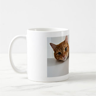 Katze Kaffeetasse
