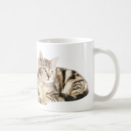Katze Kaffeetasse