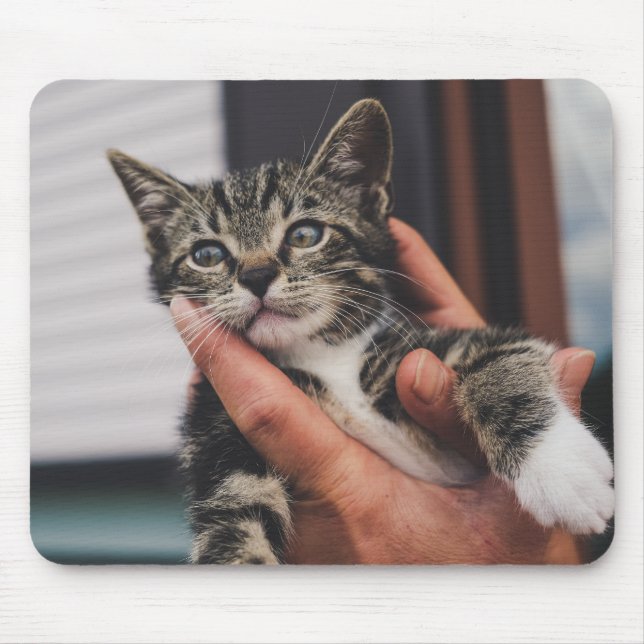Katze, Kätzchen, Hand Mousepad (Vorne)