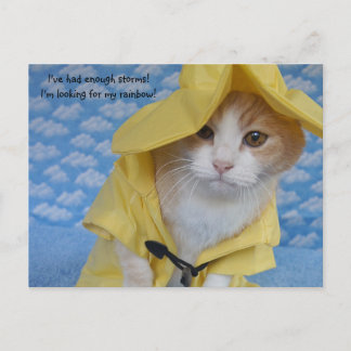 Katze/Kätzchen in gelbem Schleiermantel Postkarte