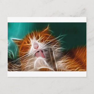 Katze Kätzchen Kätzchen süßes Haustier schnurren m Postkarte