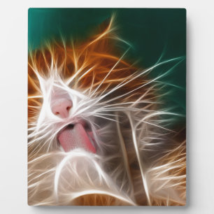 Katze Kätzchen süße niedliche Katze Schnurren Miau Fotoplatte