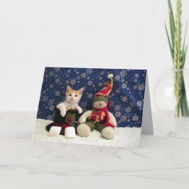 Katze, Kätzchen, Weihnachten, Rettung, Foto Feiertagskarte