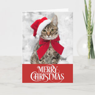 Katze Katze Hund Weihnachtskarte Feiertagskarte