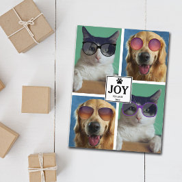 Katze Katze Weihnachten Tier Foto Collage Weihnach