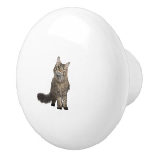 Katze Keramikknauf