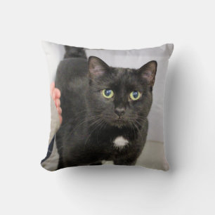 Katze Kissen
