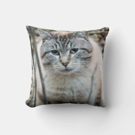 Katze Kissen