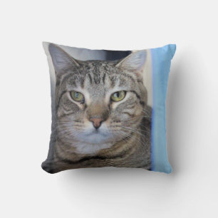 Katze Kissen