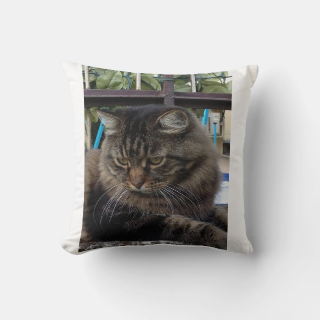 Katze Kissen (Vorderseite)