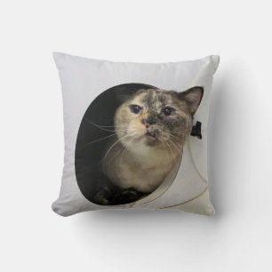 Katze Kissen