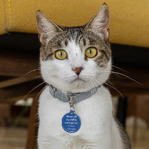 Katze, Kitten Lost Tag, Kleine .88-in Pet ID Tag Haustiermarke