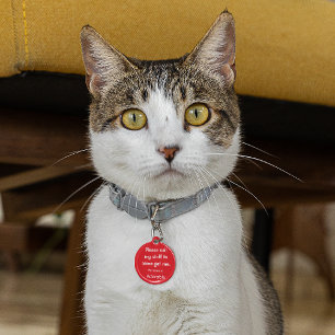 Katze, Kitten Lost Tag, Red Small .88" Pet ID Tag Haustiermarke